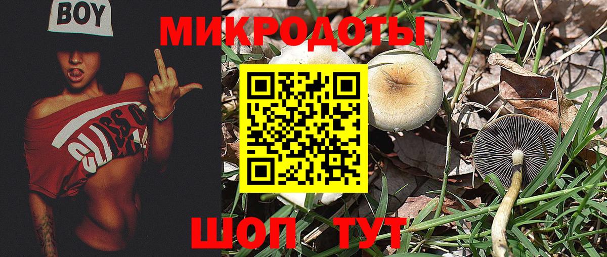 Псилоцибиновые грибы мицелий  купить закладку  Горно-Алтайск  Вход с VPN 